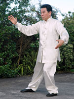 tai chi 37 form