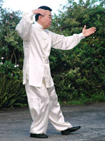 tai chi 37 form