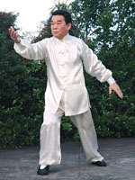 tai chi 37 form