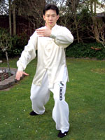 tai chi 42 form