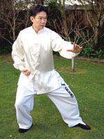 tai chi 42 form