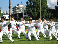 42 movement tai chi form