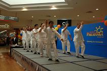 42 movement tai chi form