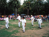 37 movement tai chi form