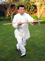 tai chi pole form