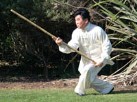 tai chi pole form