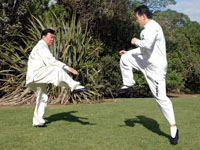 tai chi two person form