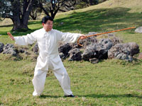 tai chi walking stick form