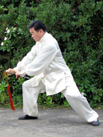 tai chi sword form