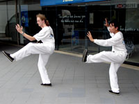 42 movement tai chi form