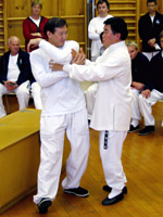 tai chi free push hands